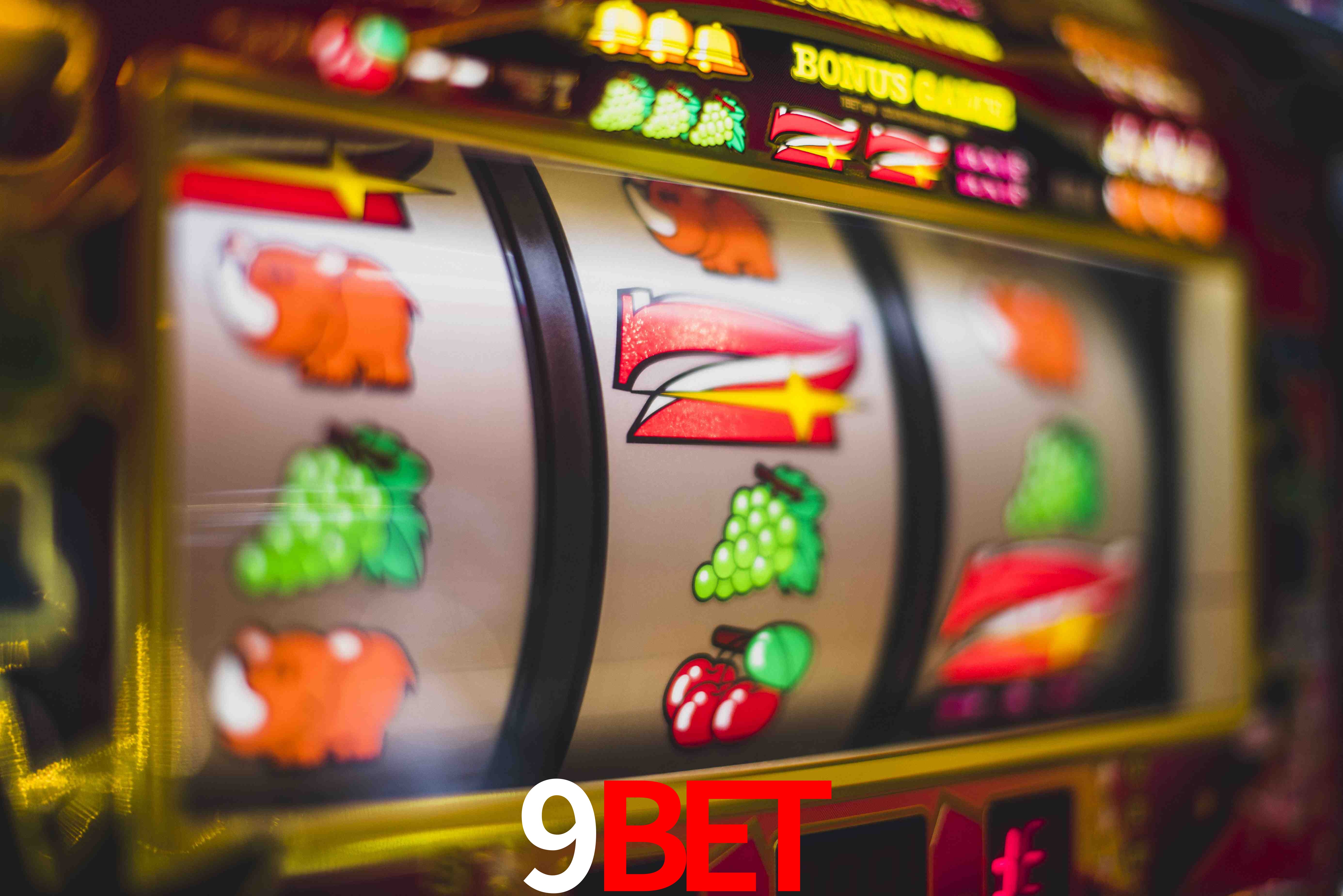 Live Casino 9bet